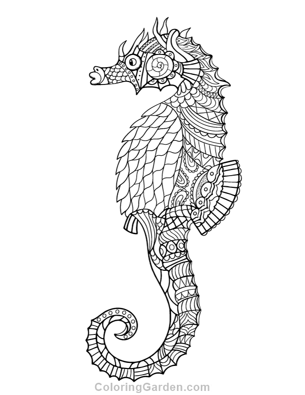 seahorse-printable-coloring-pages-printable-word-searches