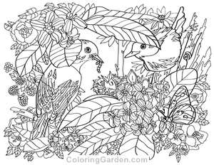 Birds and Flowers Coloring Page