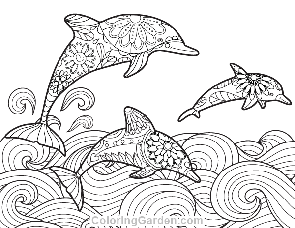 Dolphin Adult Coloring Page