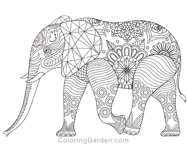 Elephant Adult Coloring Page