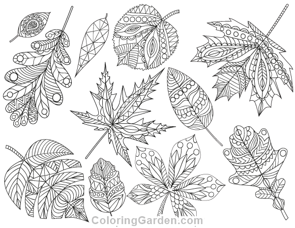 Fall Leaves Adult Coloring Page