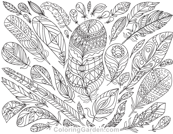 Feathers Adult Coloring Page