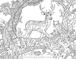 Forest Creatures Coloring Page