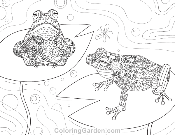Frog Adult Coloring Page