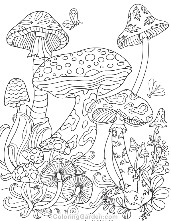 Mushrooms Adult Coloring Page