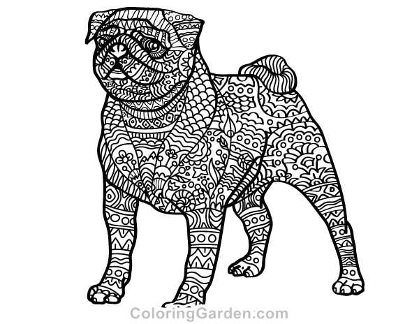 Pug Adult Coloring Page
