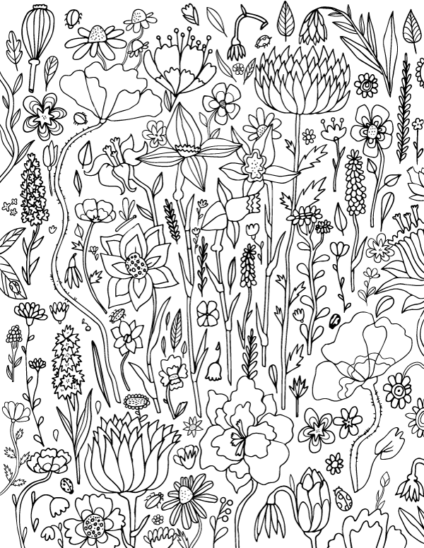 Spring Flower Adult Coloring Page
