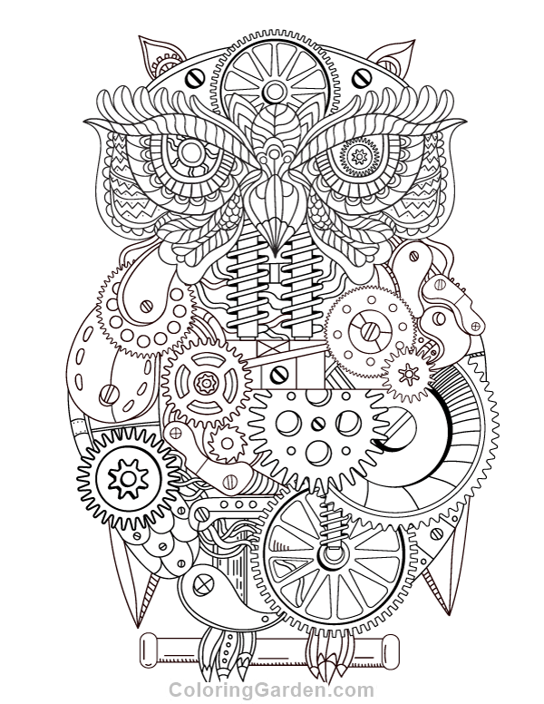 Steampunk Owl Adult Coloring Page